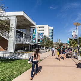 usf_campus