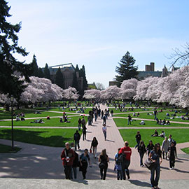 University_of_Washington_campus