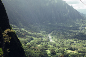 Hawaii AIA