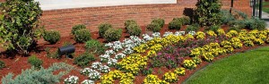 TuskegeeUniversity