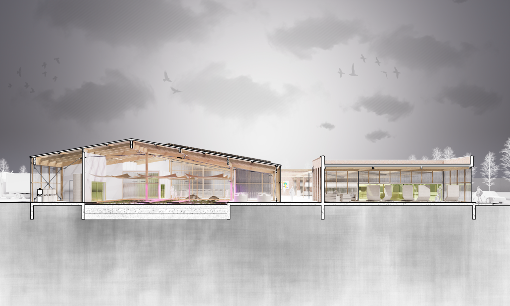 Asokeji, David_AA.05_SECTION PERSPECTIVE - David Oluwamayowa Asokeji