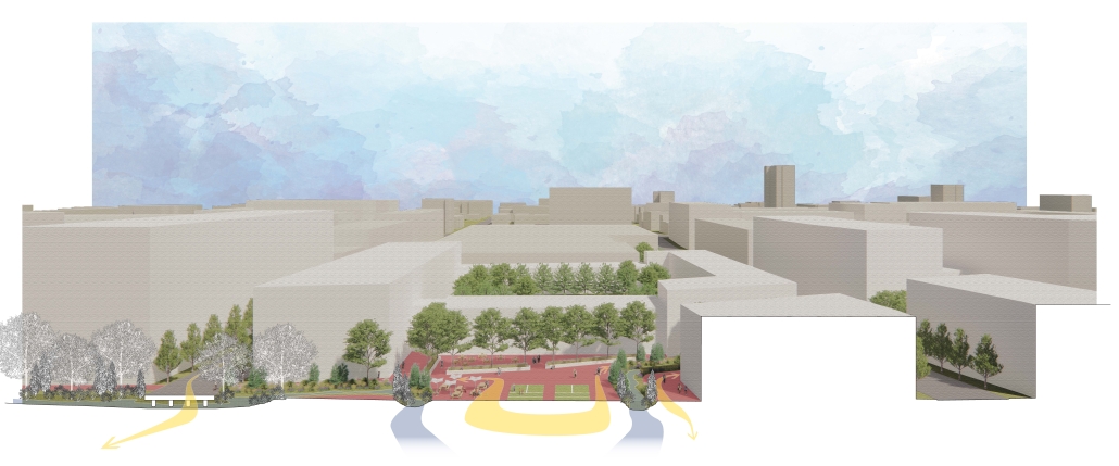 Final_Section Perspective_2_Coho Walk - Ken Filler