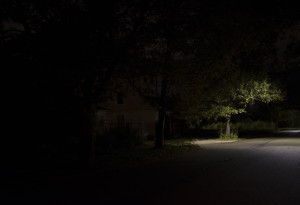 Nightly_Newell_03