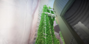 mars_INT-greenhouse-UP_dark-weird