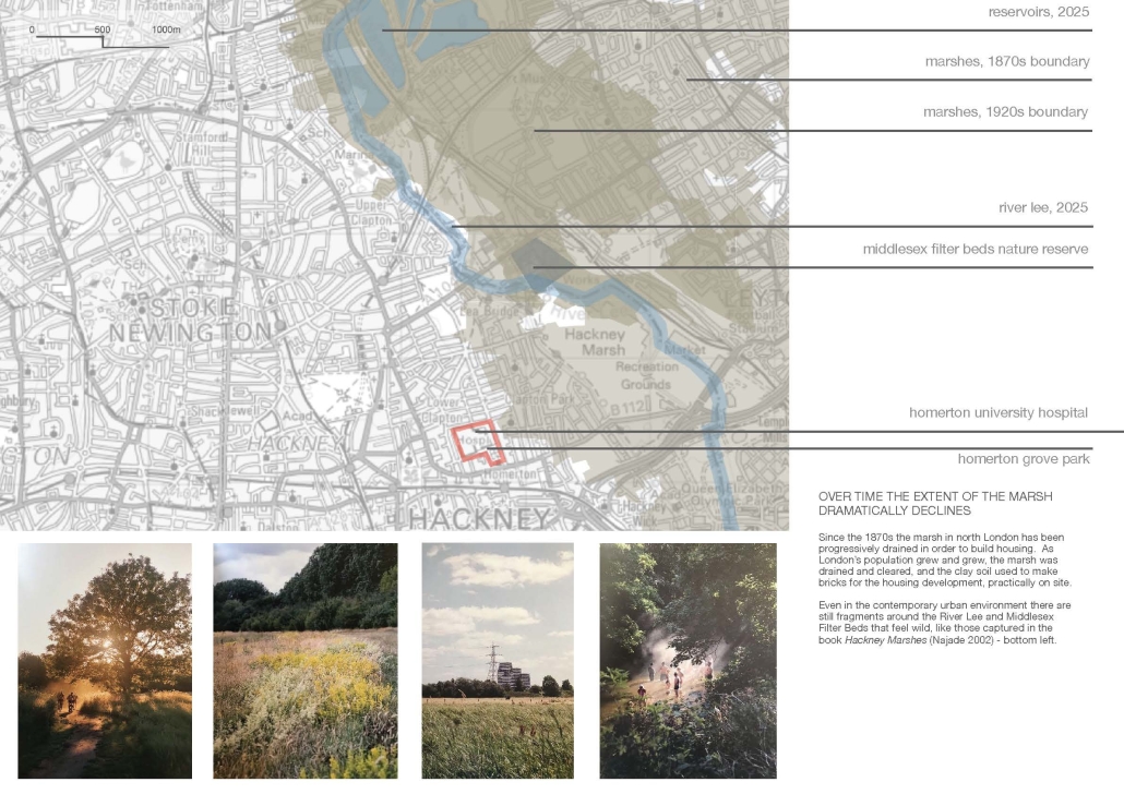 page 2 - Sophie Martin